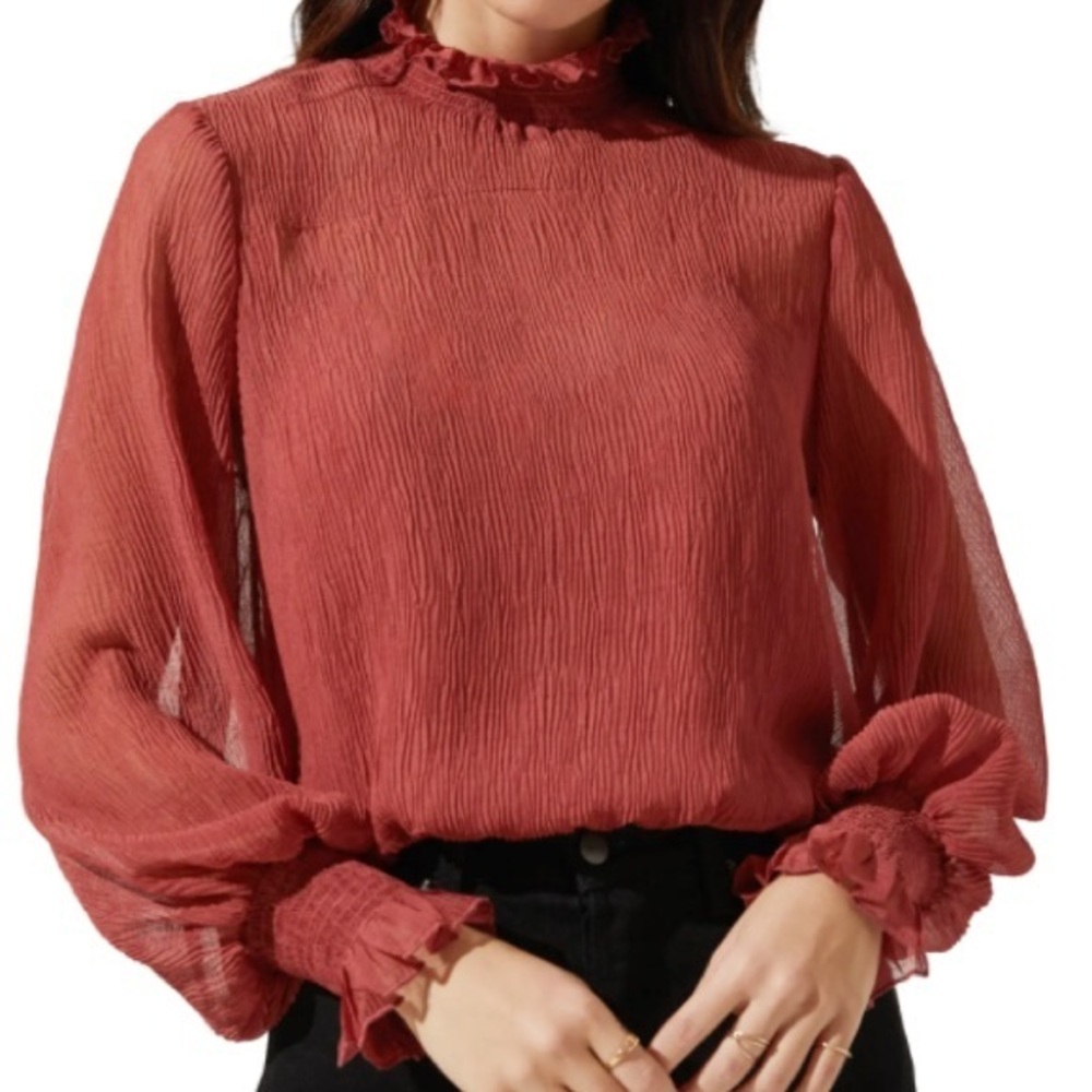 ASTR Mock Neck Long Sleeve Autumn Brick Red Sheer Elegant Blouse M